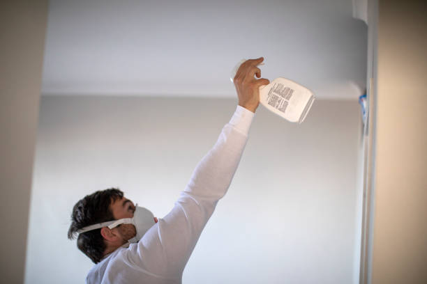 Best Bathroom Mold Remediation in Grapeland, TX