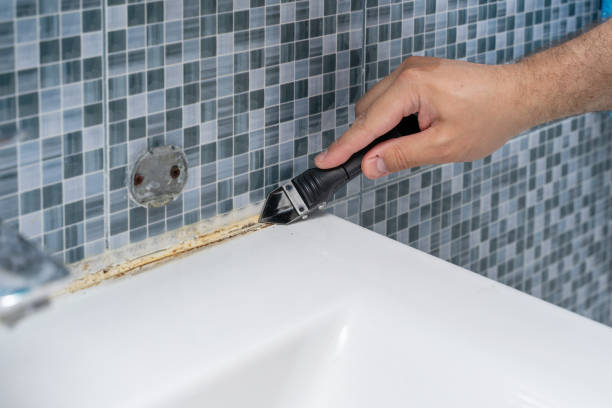 Best Localized Mold Remediation (e.g., coastal areas, humid climates) in Grapeland, TX