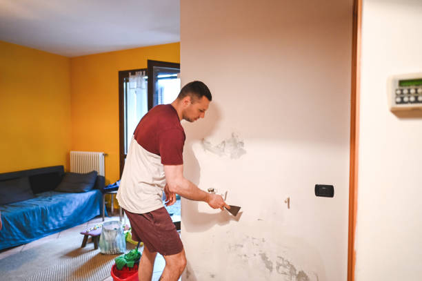 Best Mold Testing and Inspection Services in Grapeland, TX